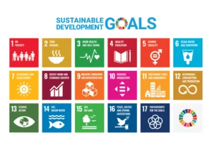 Read more about the article 17 Sustainable Development Goals SDG’s