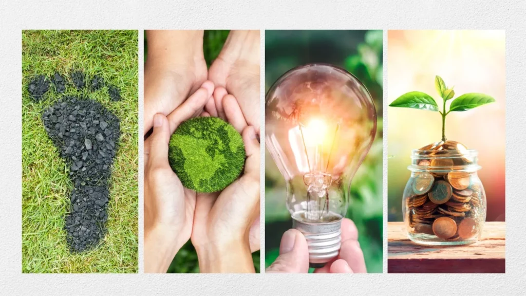 EnerWisely, Carbon Credits: the power of the Market to achieve net zero and climate justice