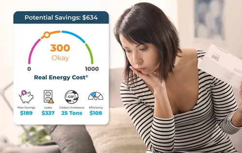Picture, woman worried about raising real energy cost. EnerWisely is the smart sustainable energy savings app. Take the free online energy audit. Get cheap electricity. Save energy, save money, help the planet. 