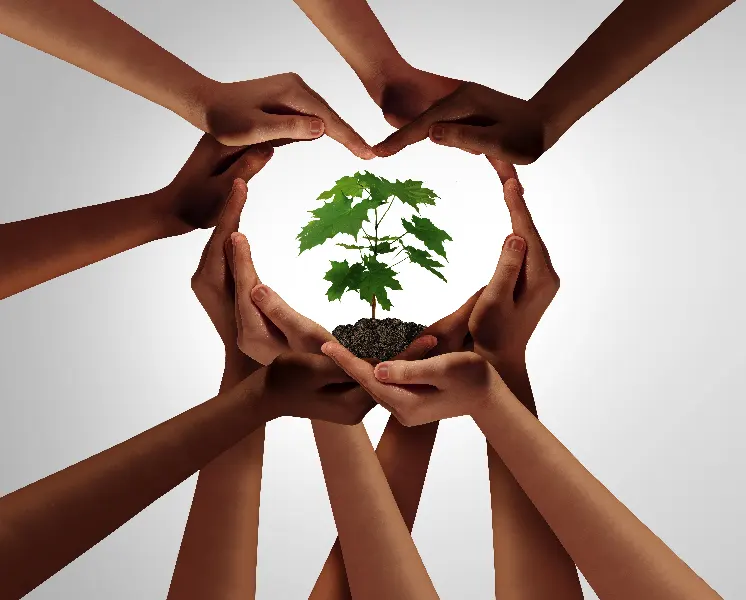 Photo Hands-in-heart-with-baby-tree