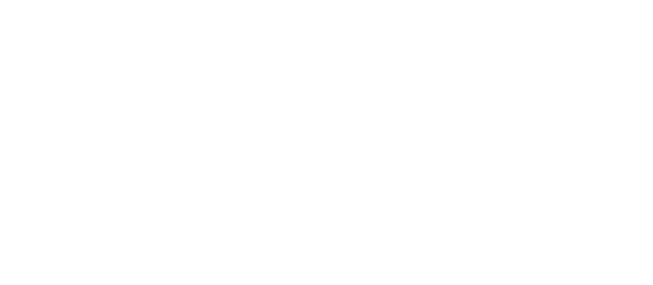 Energy Star Partner